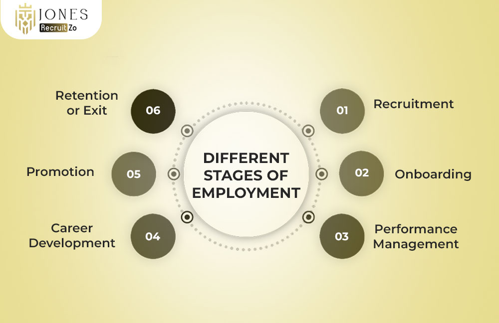 Different Stages of Employment